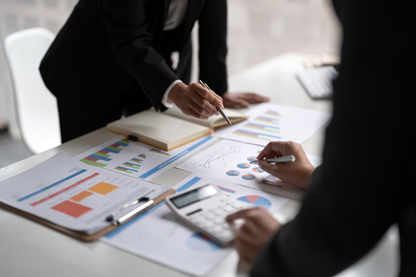 彈性預(yù)算咨詢：應(yīng)對市場變化，優(yōu)化預(yù)算策略