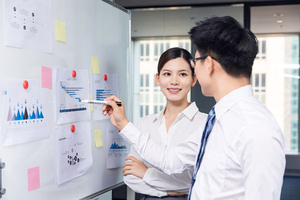 組織咨詢：協(xié)助企業(yè)制定組織發(fā)展戰(zhàn)略，推動(dòng)組織成長(zhǎng)