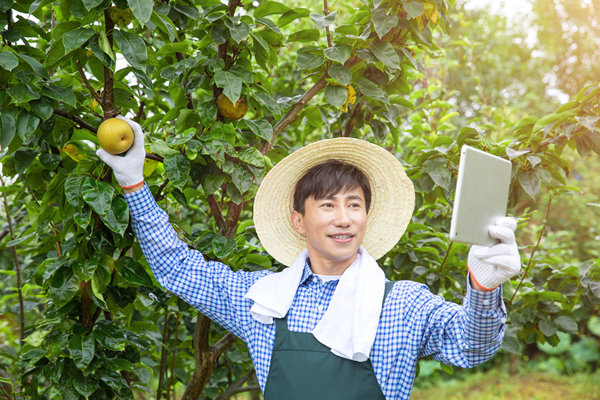 數(shù)字化營銷:利用數(shù)字技術(shù)制定精準(zhǔn)營銷策略 數(shù)字化營銷:利用數(shù)字技術(shù)制定精準(zhǔn)營銷策略