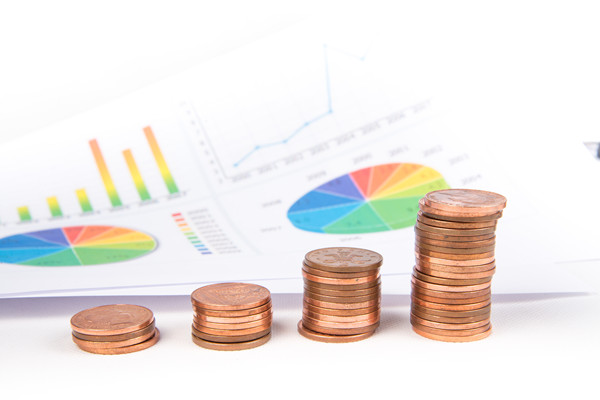 企業(yè)預(yù)算管理：一個全方位、多維度的財務(wù)管理策略